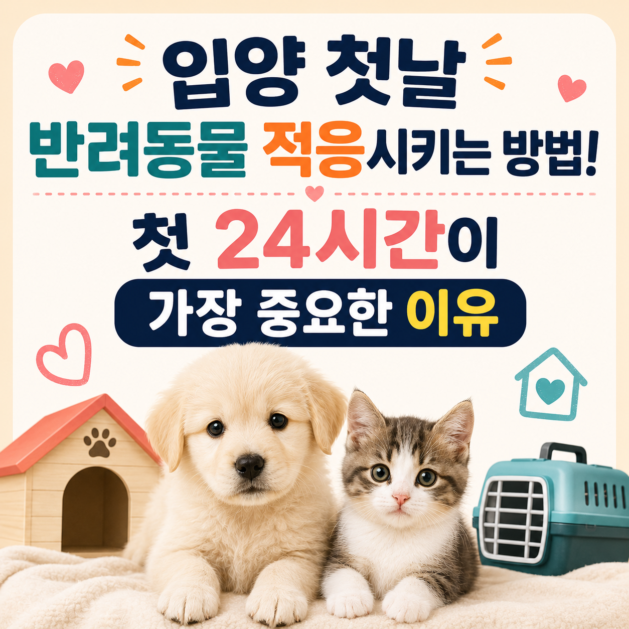 입양 첫날 반려동물 적응시키는 방법