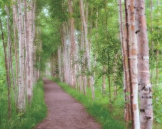 일상 속 완화 팁 5가지