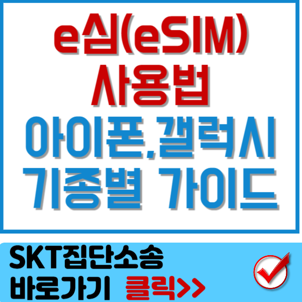 e심 사용법 썸네일