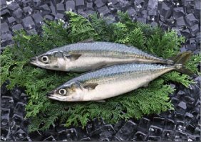 항암치료 중 좋은 음식