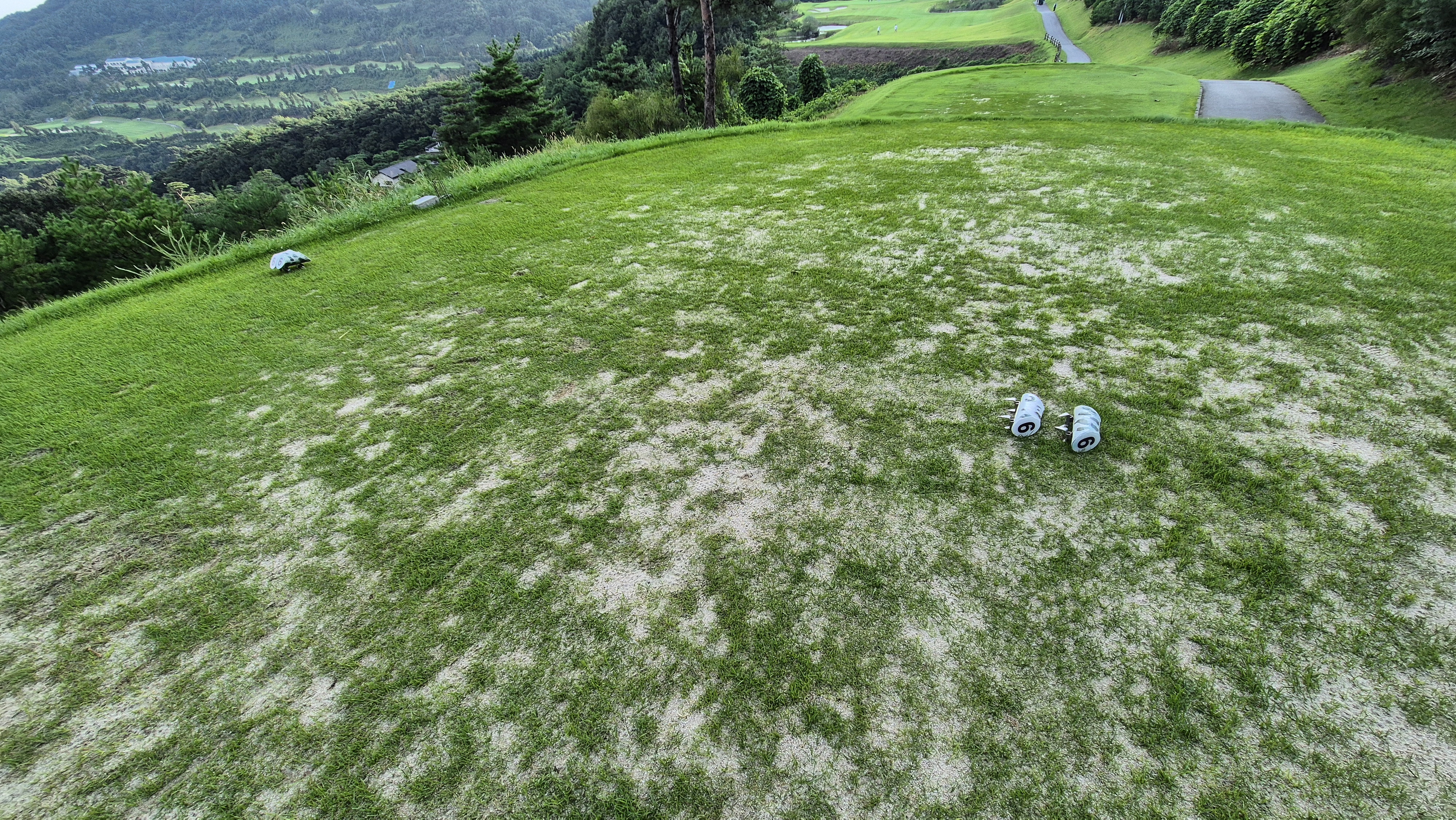 세일cc 들길-산길 코스 라운드 후기