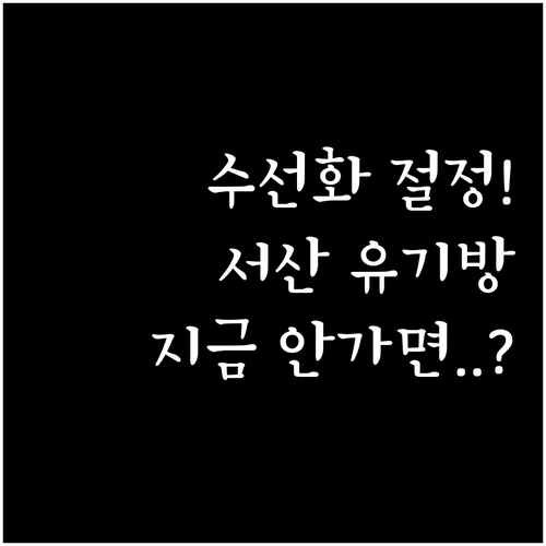 가족과 함께 떠나는 3월 서산 여행 ..