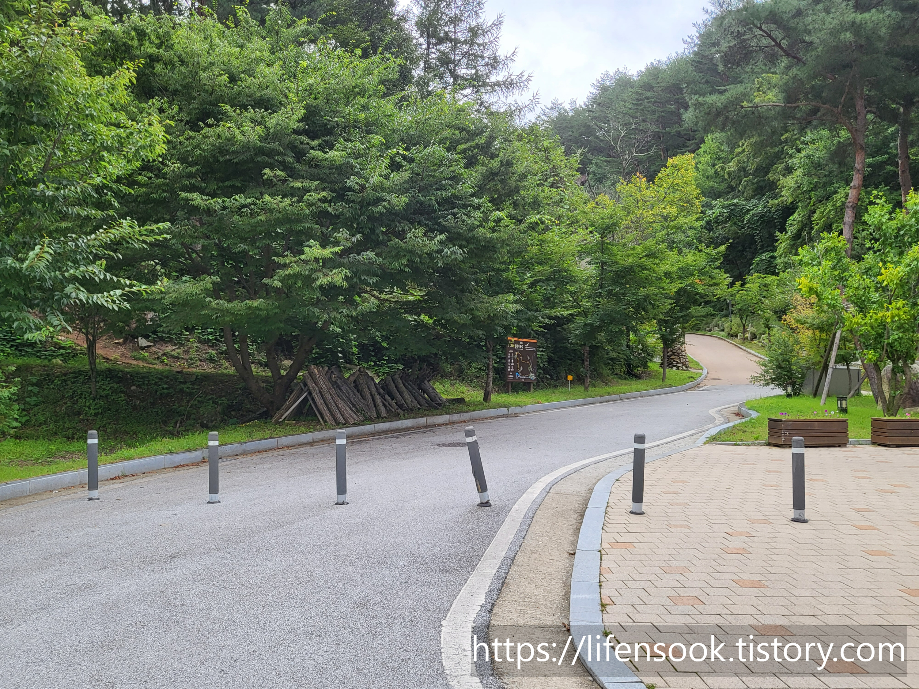 금강송 에코리움 객실로 가는 길