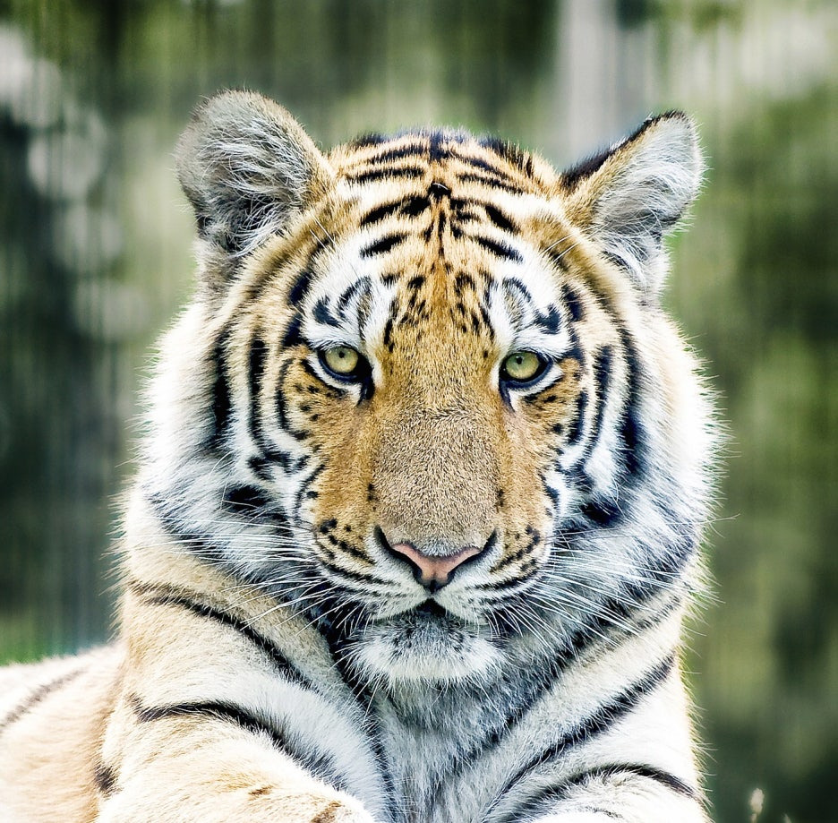 2026년 대박 예감! 행운 꿈 해몽