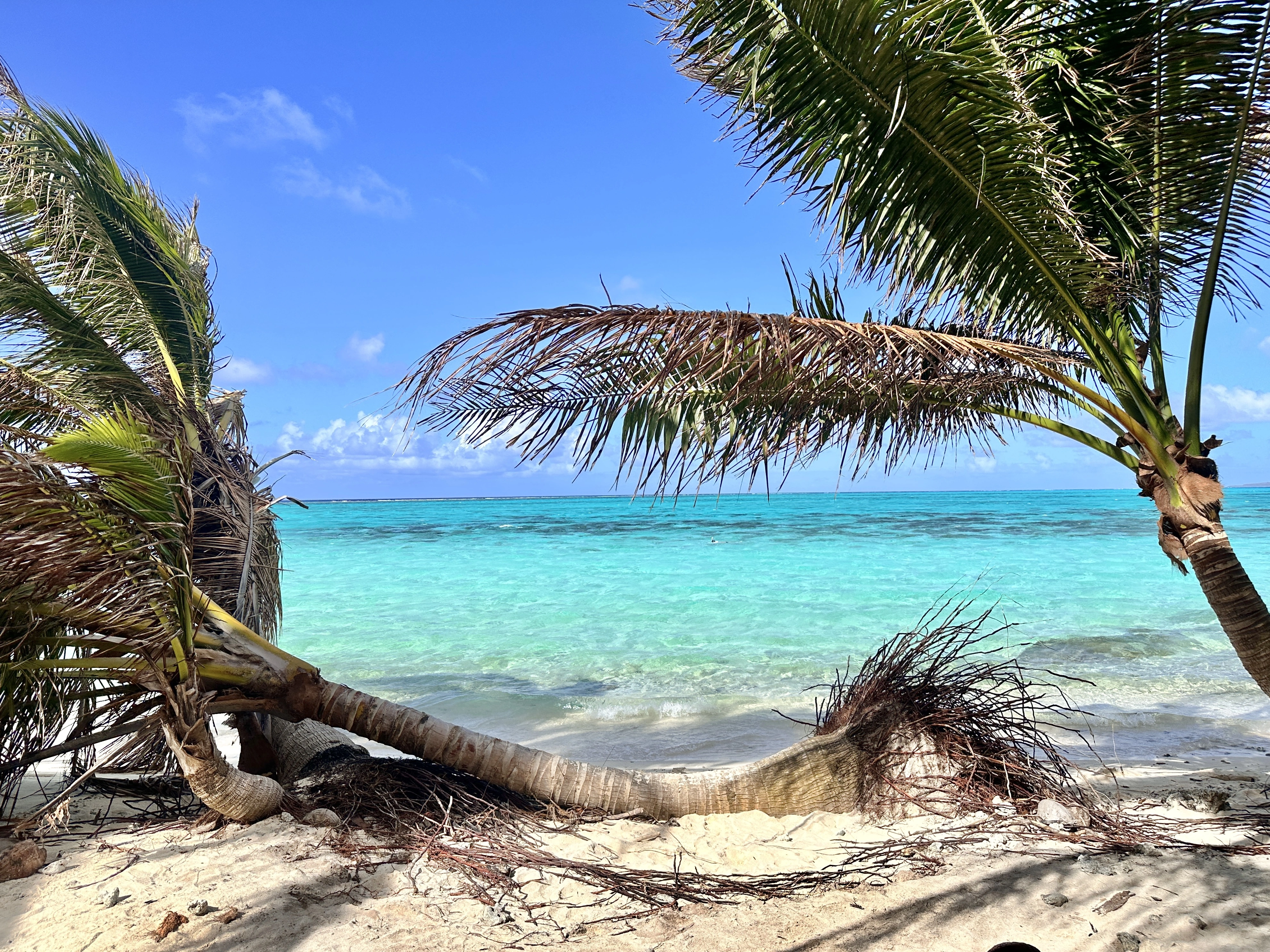 bohol-image