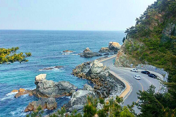 환상의 강원도 드라이브 코스 3곳 + 인생 휴게소