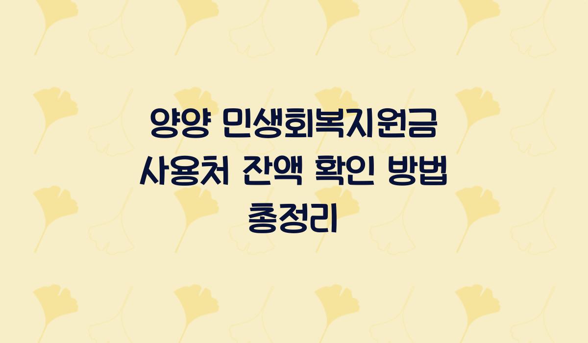 양양 민생회복지원금 사용처 잔액 확인 방법 총정리