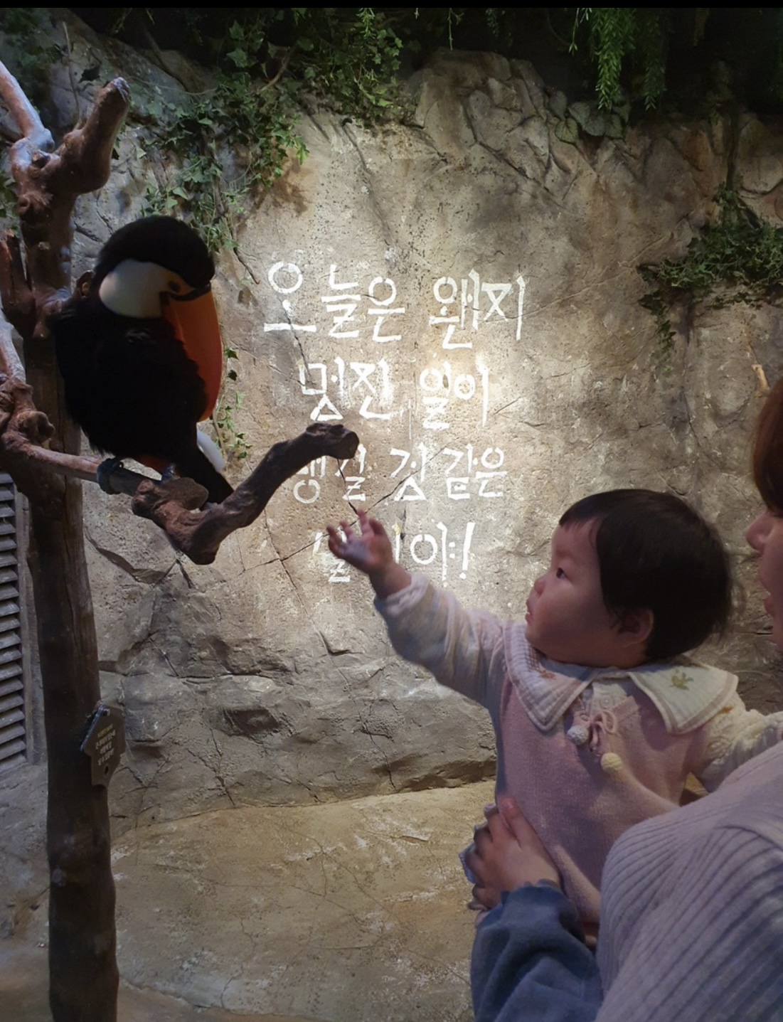 주렁주렁에서 펠리컨에게 모이주는 아기 모습