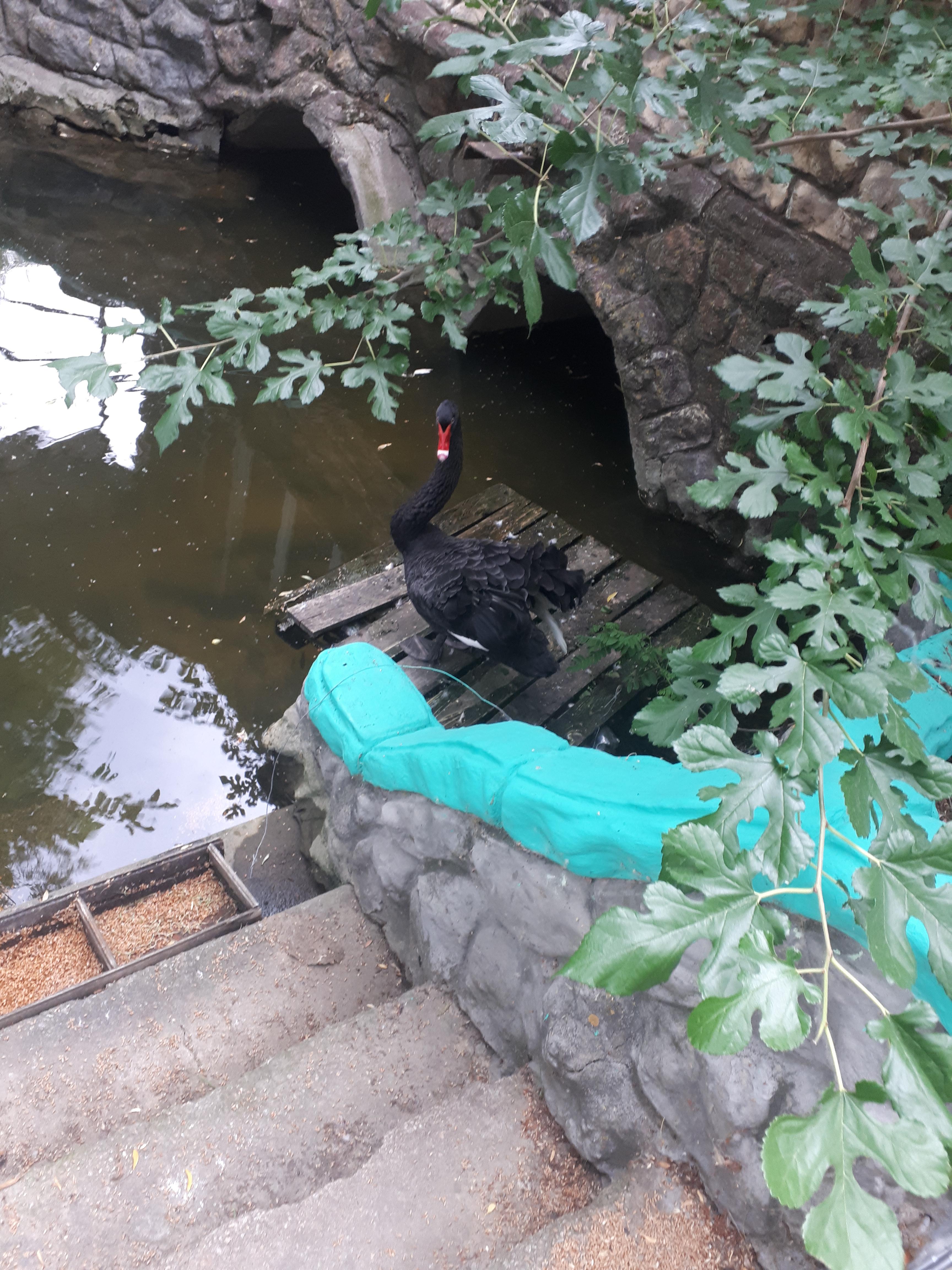 우크라이나 타브리스크 고고학 유적 인근