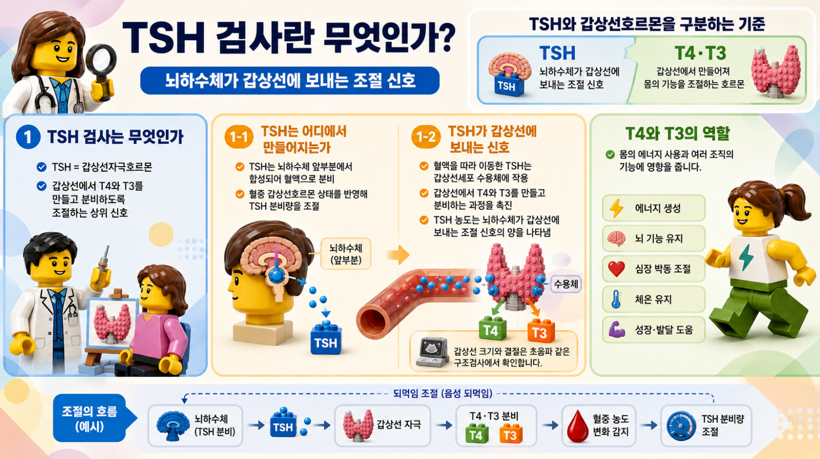 TSH 검사의 정의와 뇌하수체에서 생성되어 갑상선으로 신호를 보내는 과정을 설명하는 레고 스타일 메디컬 인포그래픽