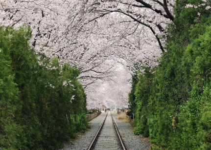 섬진강 옆, 기차는 멈췄지만 풍경은 계속 흐른다 – 하동 철길 마을 걷기