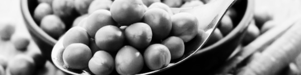 완두콩 보관방법: 냉장 보관