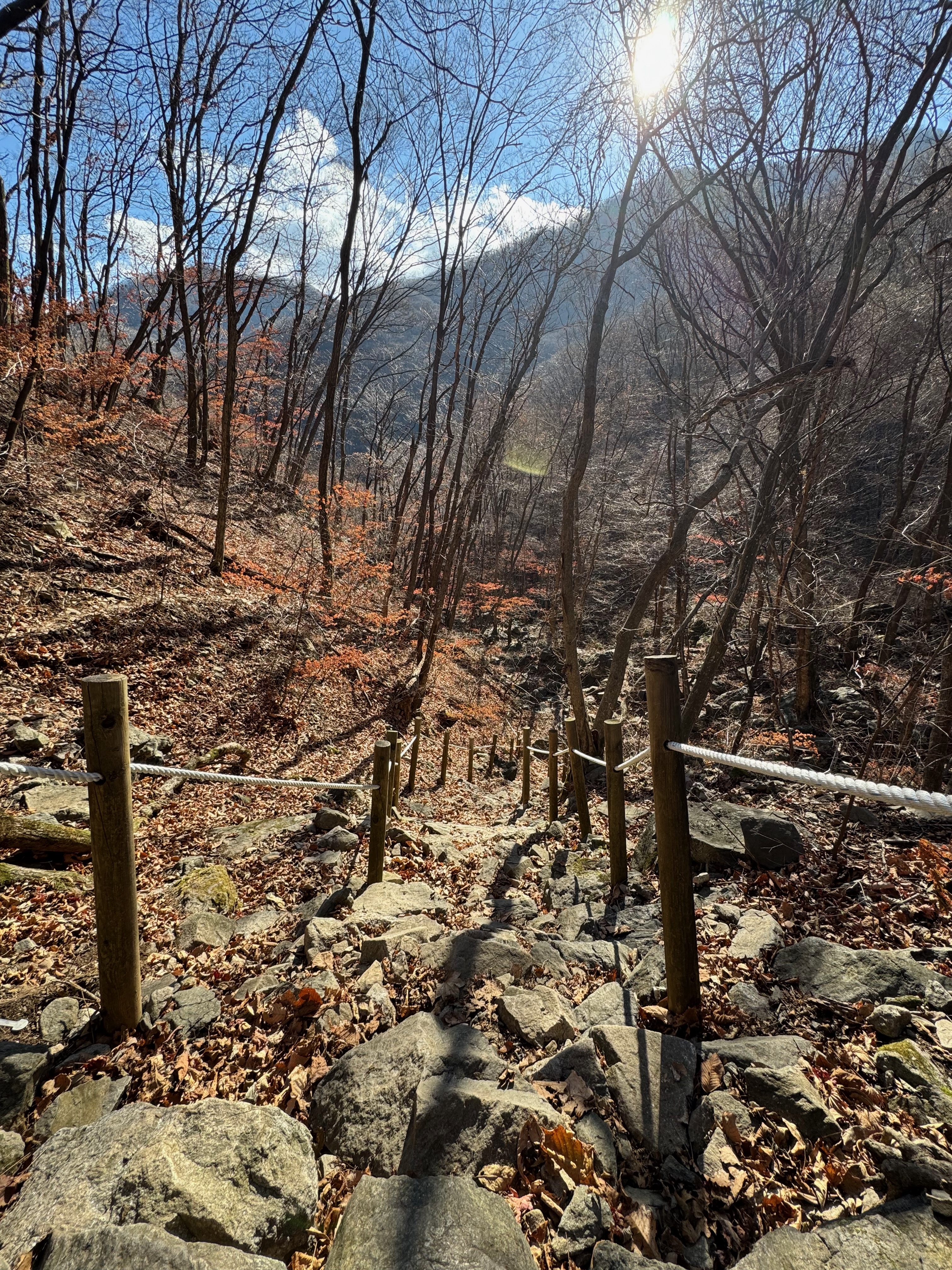 명지산 하산길