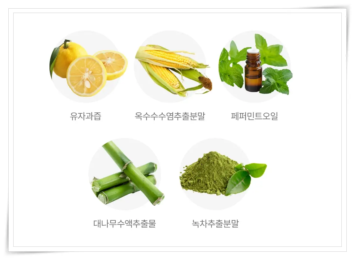 뉴티 365 오라컷 플러스 부원료