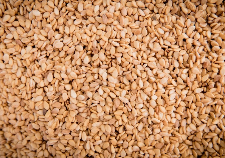 참깨 파종시기 남부 중부지방 참깨모종 심는시기 참깨 파종시기 남부 중부지방 참깨모종 심는시기