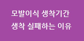 모발이식 생착률