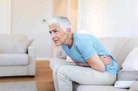 구충제 복용 시기와 방법