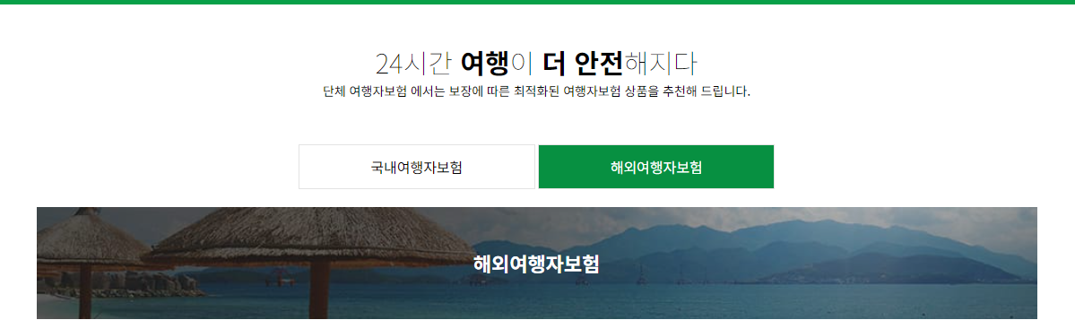 해외 여행자보험