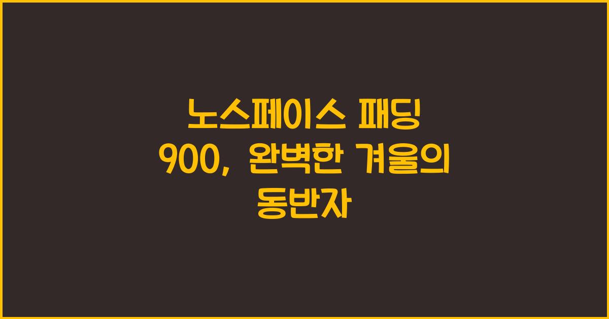 노스페이스 패딩 900