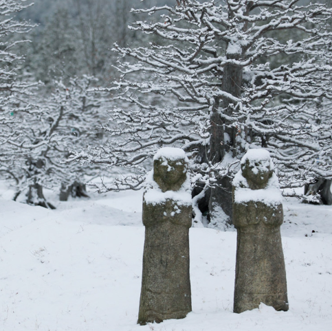 대구 군위 사유원 관람 예약