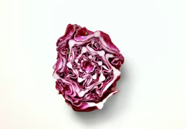 장염 걸렸을때 먹어도 되는음식