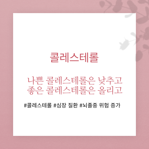 콜레스테롤