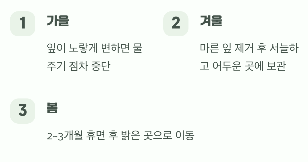 다시 만날 날을 위한 휴식 시간