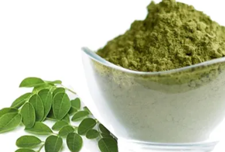 모링가 효능과 먹는법