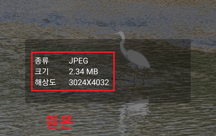 원본사진 용량 표시됨