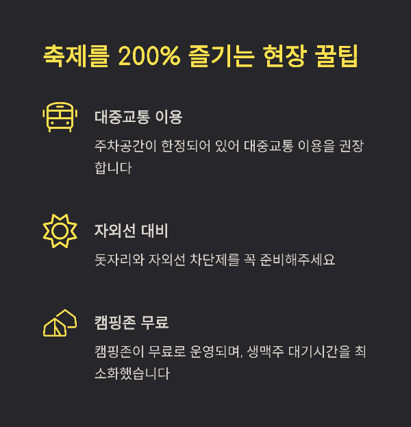 축제를 200% 즐기는 현장 꿀팁