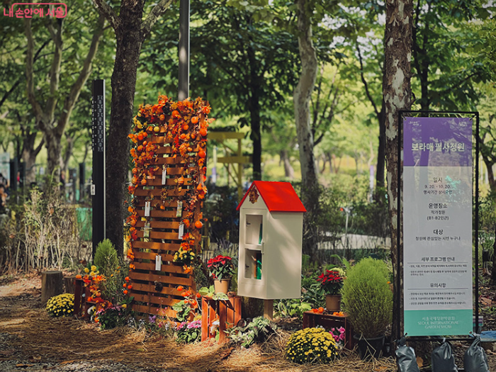 2025 서울국제정원박람회 연장! 가을 정원·국화 전시·꽃차 체험