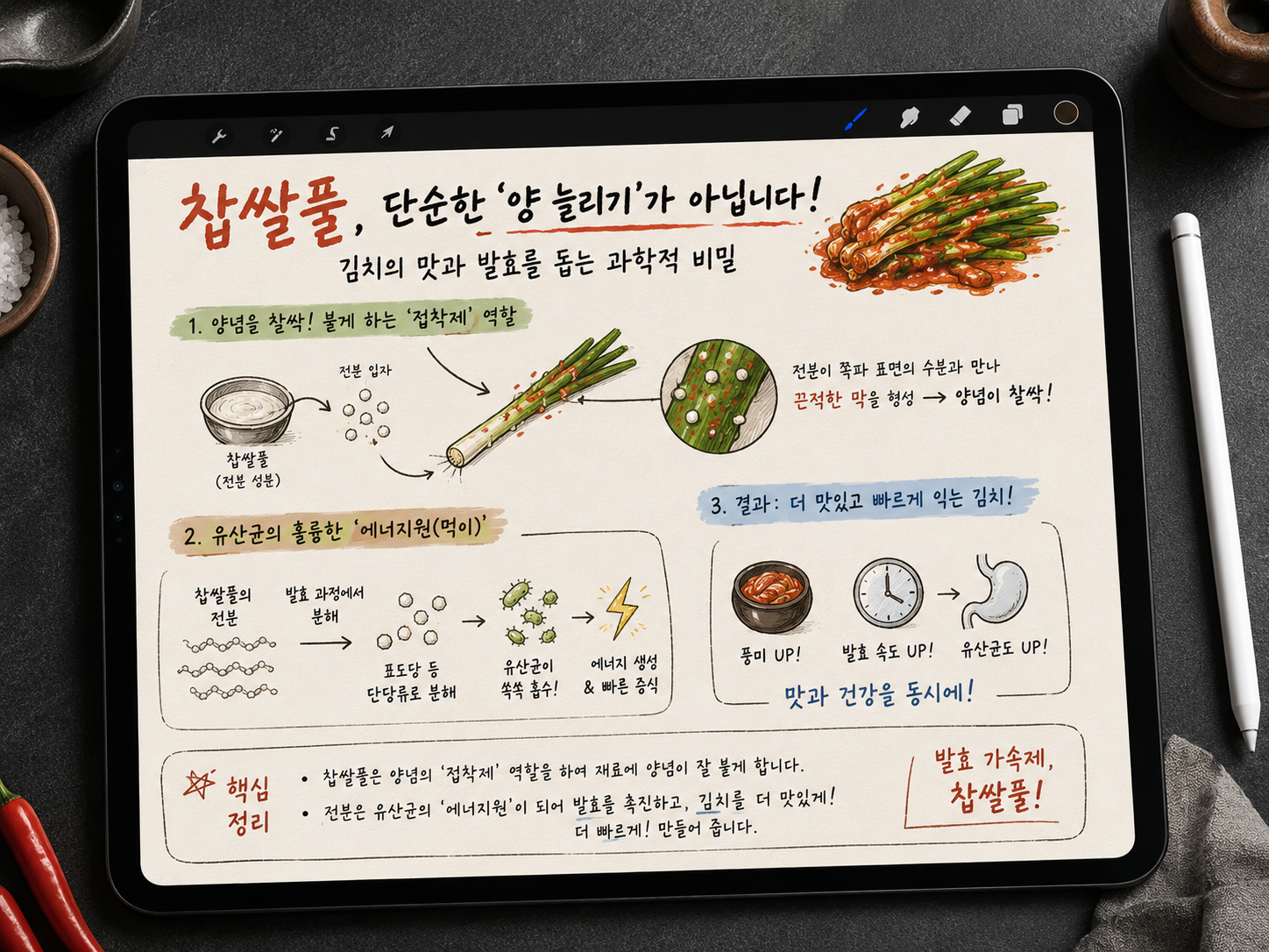 아이패드 프로크리에이트 앱 화면을 담은 일러스트. 찹쌀풀이 김치 조리에 미치는 과학적 효능을 도식화하여 설명하고 있다. 크게 두 가지 핵심 원리로 구분되는데, 첫째는 찹쌀풀의 전분 성분이 쪽파 표면과 만나 끈적한 막을 형성하여 양념이 잘 달라붙게 돕는 '접착제' 역할이고, 둘째는 찹쌀풀의 전분이 유산균의 분해를 거쳐 단당류로 변한 뒤, 유산균의 훌륭한 에너지원(먹이)이 되어 발효를 촉진하는 과정이다. 우측 상단에는 완성된 파김치 일러스트가, 하단에는 '핵심 정리'를 통해 찹쌀풀이 발효 가속제로서 김치의 맛과 발효 속도를 향상시킨다는 내용을 요약하고 있다. 요리의 물리화학적 원리를 쉽고 정갈하게 정리한 교육용 이미지이다.