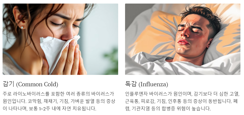 감기와 독감의 차이