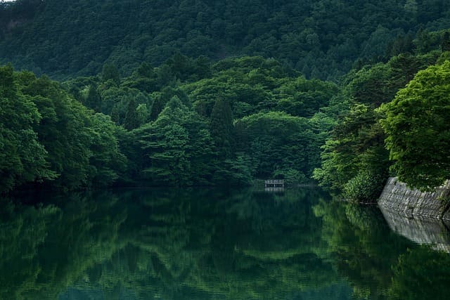 의료비지원