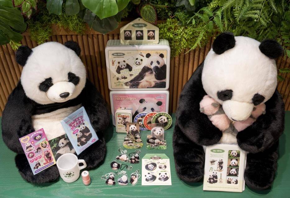 푸바오 팝업스토어