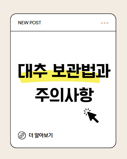 대추 보관법과 주의사항