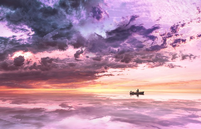 환각 관련 사진