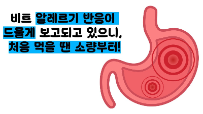 비트 효능 및부작용