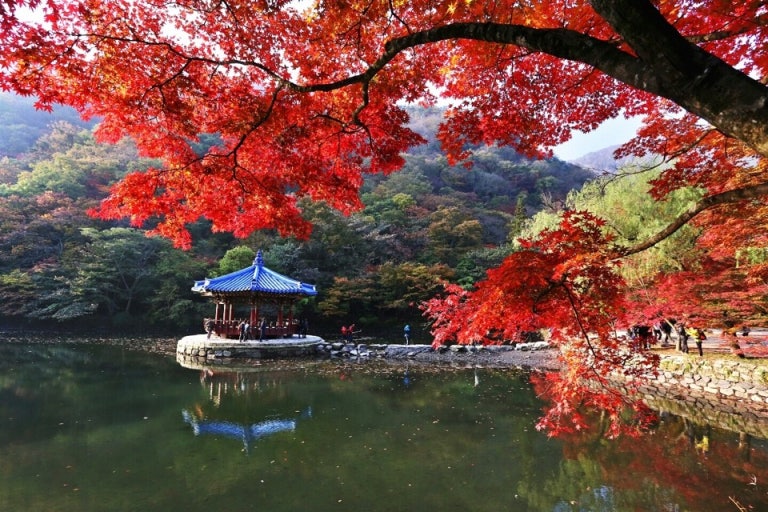 내장산