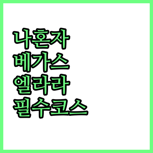 혼자 가는 라스베이거스 여행 힐튼 엘..