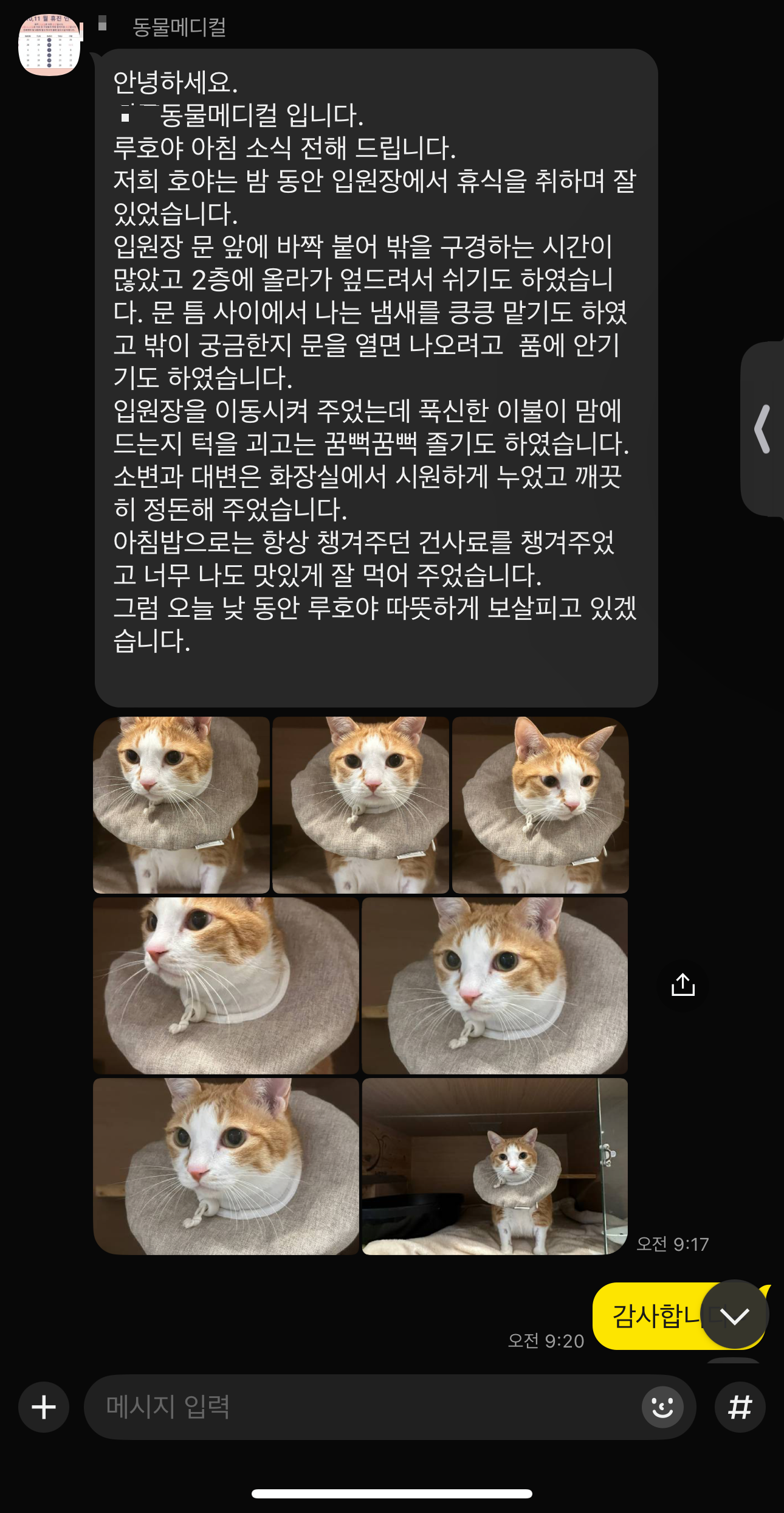 호야_입원한_병원에서_아침_저녁으로_보내주는_소식_6