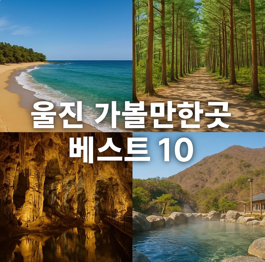 울진 가볼만한곳 베스트10
