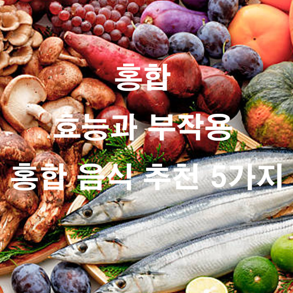 홍합 효능과 부작용 홍합 음식 추천 5가지
