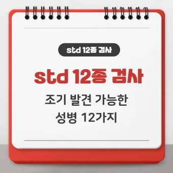 std 12종 검사 완벽 총정리종류 비용 등으로 검사항목_15