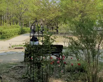 서울숲 공원 주차장11