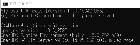 java 64bit 확인