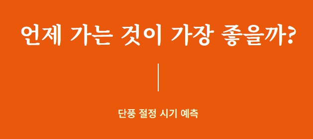 내장산 단풍축제 기간