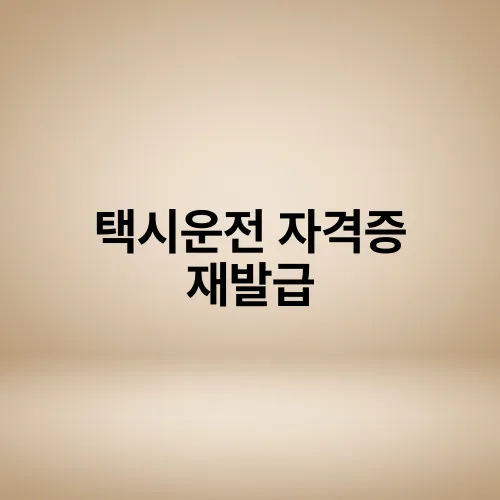 택시운전 자격증 재발급
