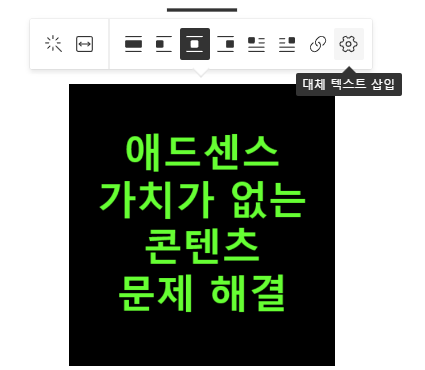 대체 텍스트 삽입 내용
