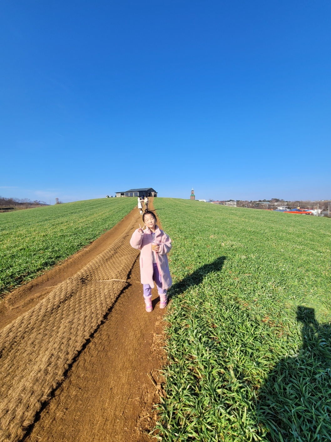 보령 청보리밭(천북 카페)&amp;#44; 청보리창고